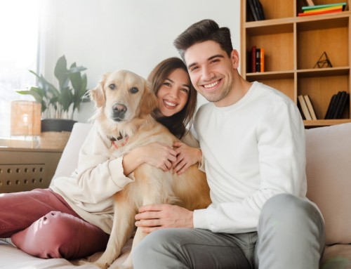 Why You Should Consider a Pet Trust in Your Estate Plan